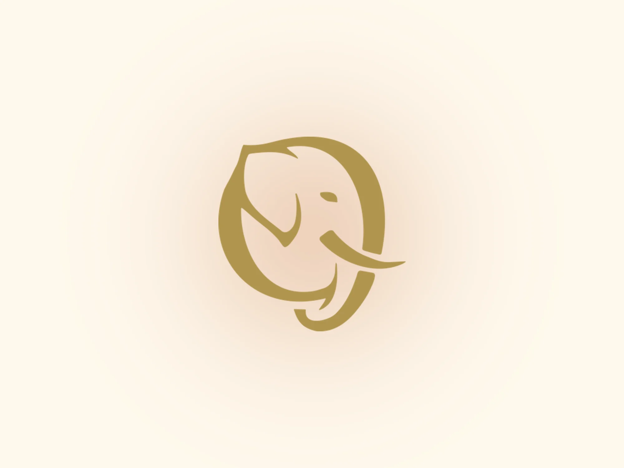 ivory cyprus — web sitesi tasarımı ve geliştirmesi